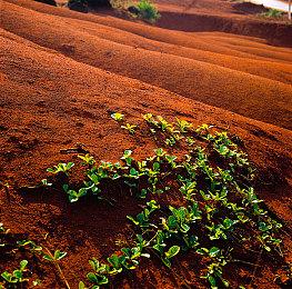 《寂静岭2：重制版》玩家可关闭所有UI元素 提升沉浸感
